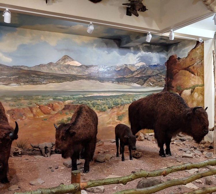 Royal Gorge Regional Museum & History Center (Canon&nbspCity,&nbspCO)